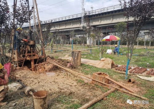 沿江高鐵肥東段迎關鍵節點 店埠河特大橋啟動勘測，為2020年開工建設鋪路